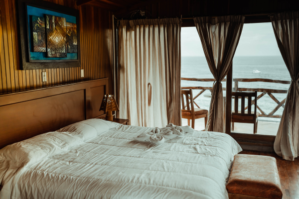 Curtains vs. Blinds: Which Window Treatment Is Best for Your Home?